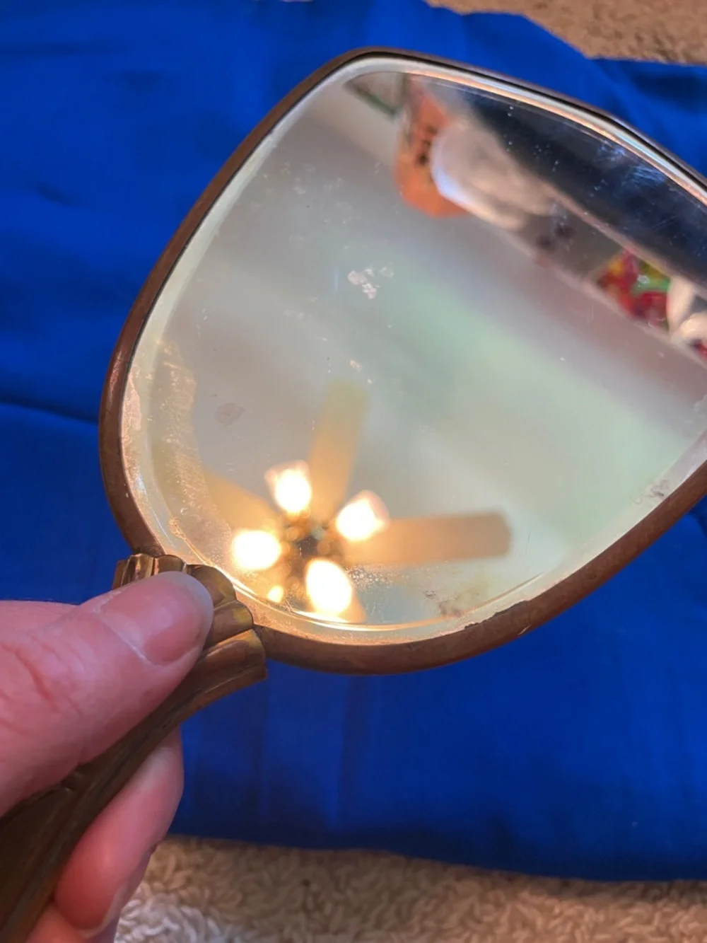 Vintage dried leaves handheld mirror